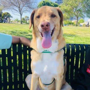 Meet your Posher, Ayushi